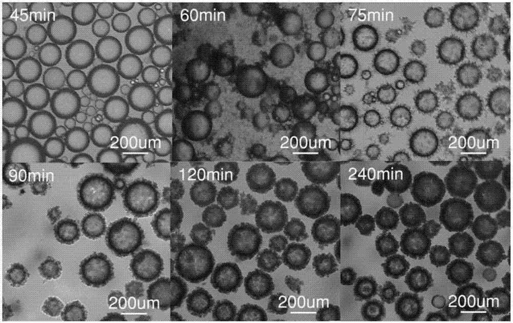 Self-healing microcapsule and preparation method thereof, paint, coating and epoxy resin composite material