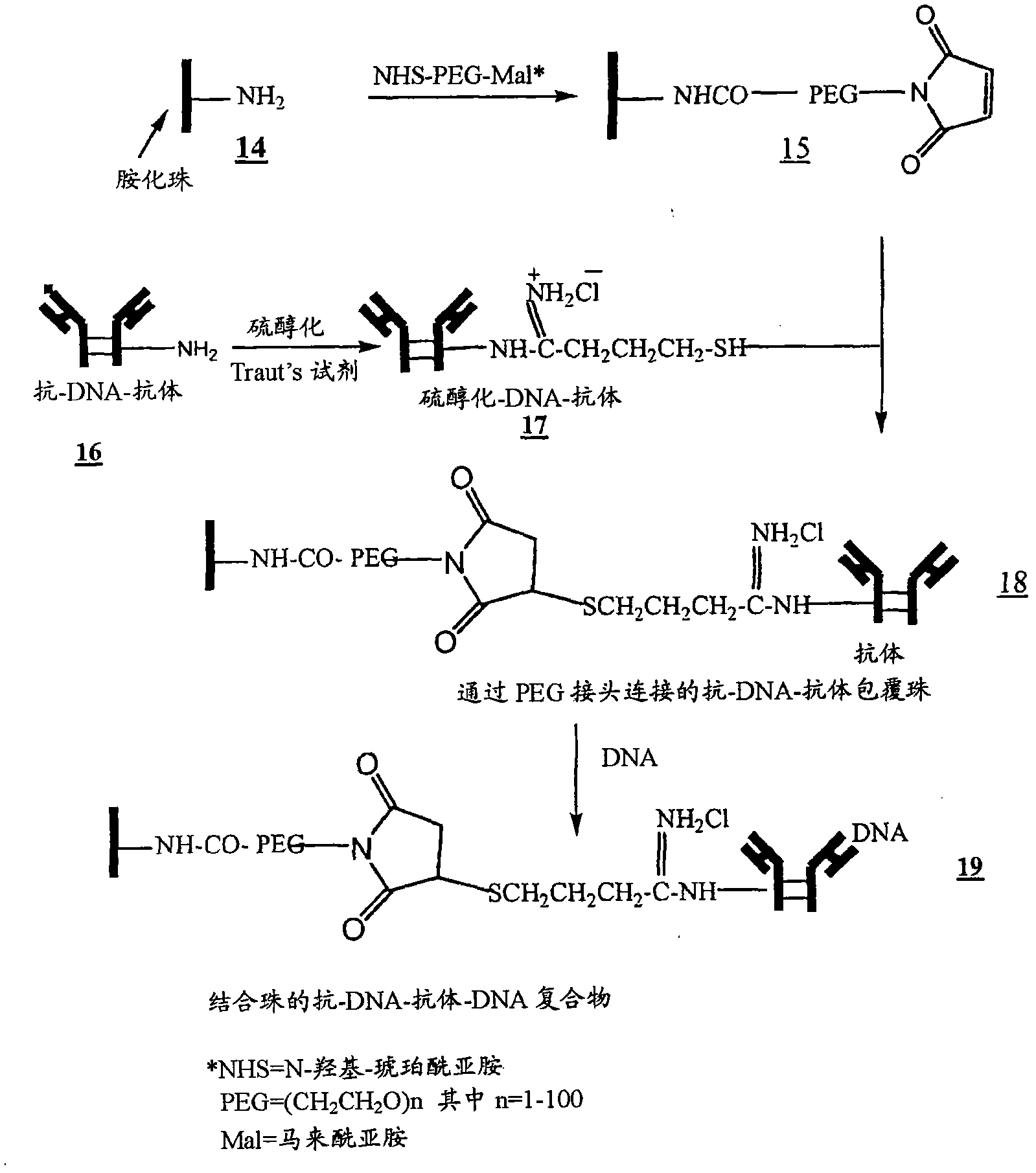 Method for isolating cell free apoptotic or fetal nucleic acids