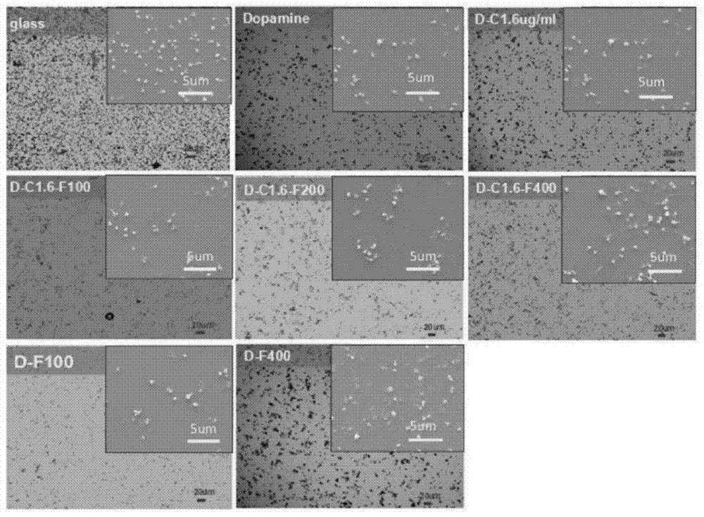 Preparation method of novel anticoagulant stents coating capable of capturing endothelial progenitor cells