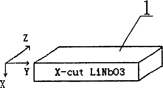 Lithium niobate modulator ad its making process