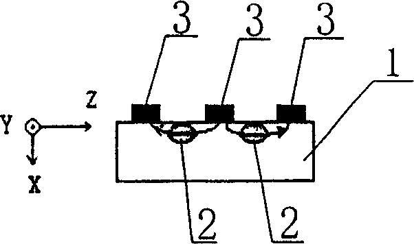 Lithium niobate modulator ad its making process