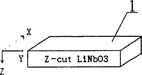 Lithium niobate modulator ad its making process