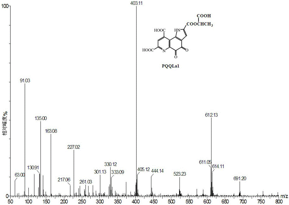 Method for detecting effect of PQQ on lactic acid by combining HPLC with UPLC-MS