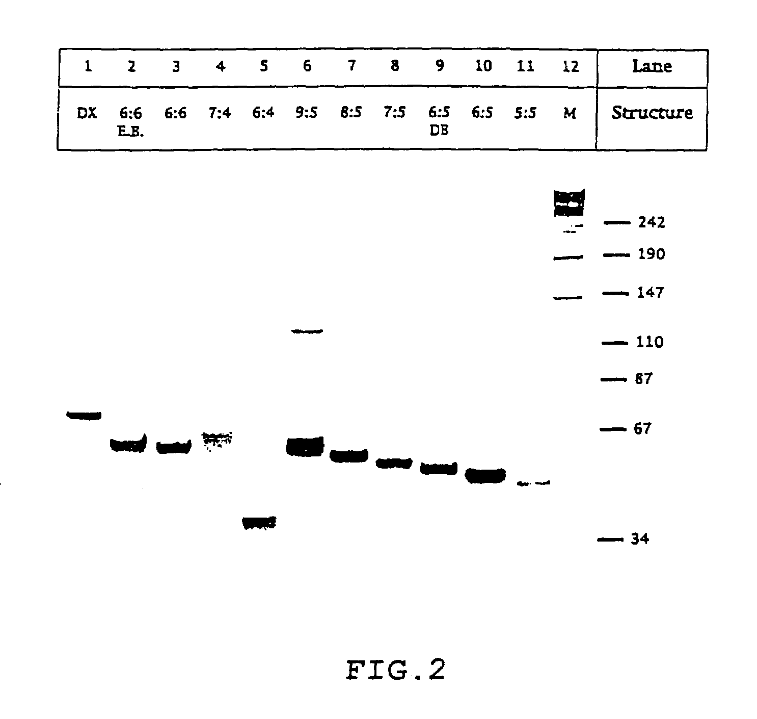 Polynucleic acid nanomechanical device controlled by hybridization topology