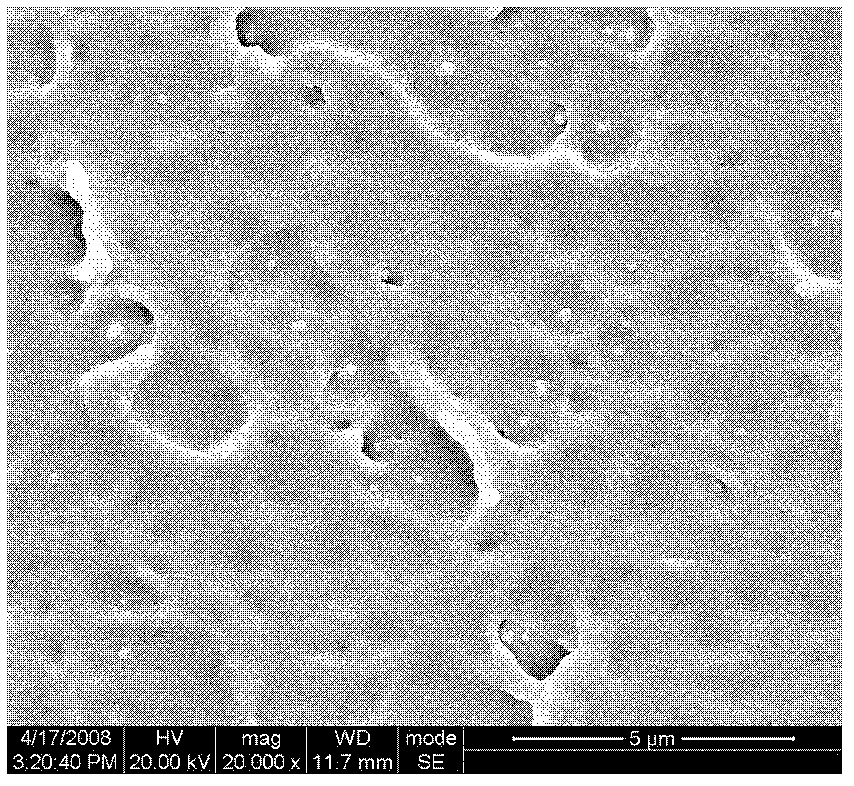 Disposable controlled completely-degradable plastic packing bag and preparation method thereof