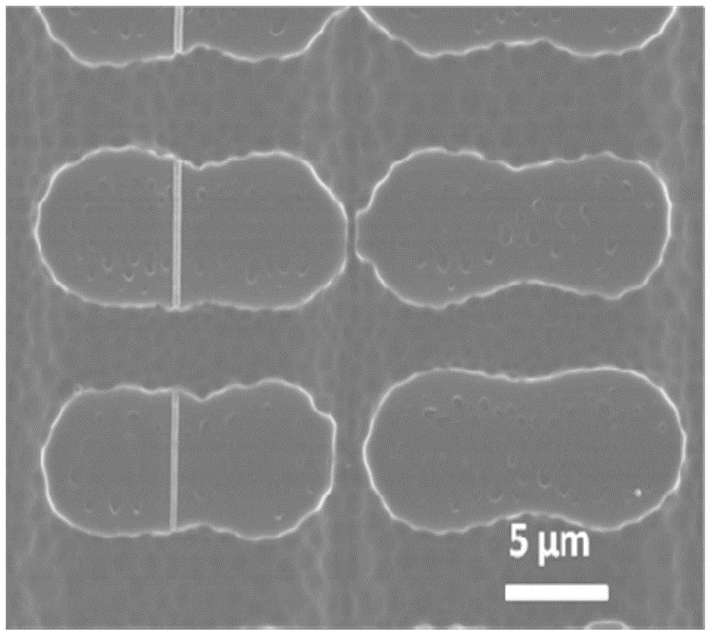 Method for preparing ordered porous film in orthogonal embossing induction manner