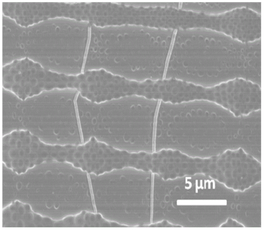 Method for preparing ordered porous film in orthogonal embossing induction manner