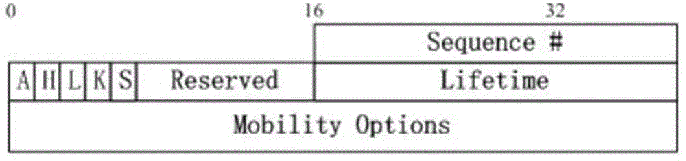 Network-based DNS security updating method in MIPv6