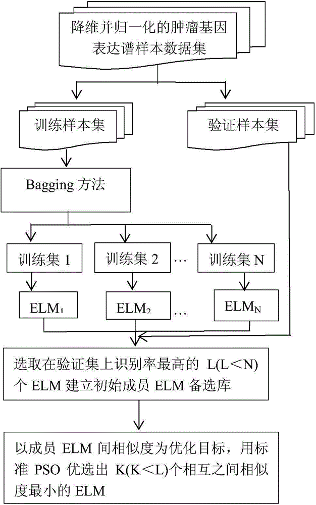 Cancer gene expression profile data identification method based on integration of extreme learning machines