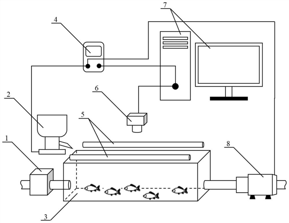 Fish feeding decision system based on fish swimming energy consumption analysis in recirculating aquaculture