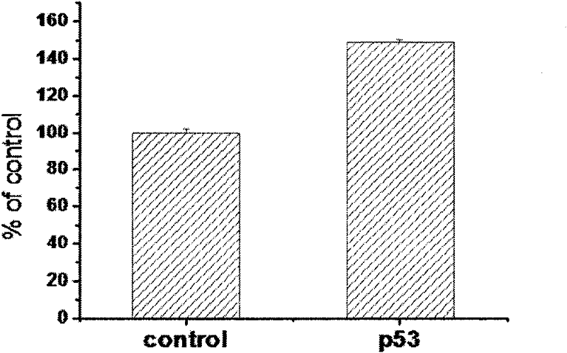 Method for enhance transport capability of gene mediated by non-viral vector