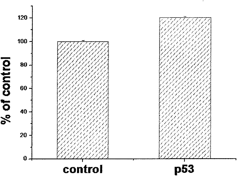 Method for enhance transport capability of gene mediated by non-viral vector