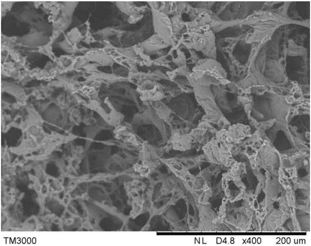 Antibacterial damping foam for fruits and vegetables