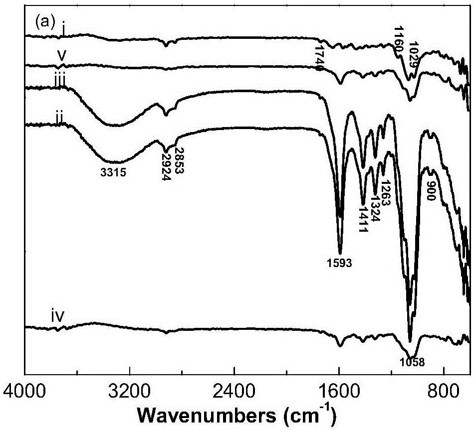 Preparation method of antibacterial and hydrophobic biodegradable membrane