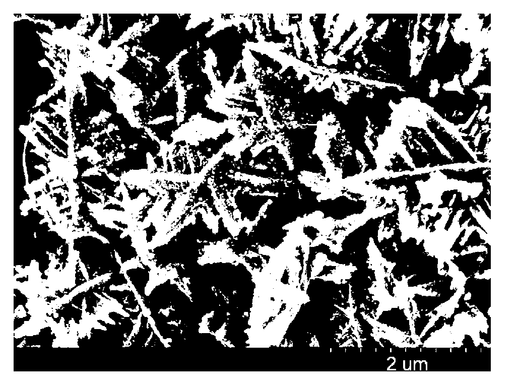 Preparation method of indium oxide nanorod ordered aggregate