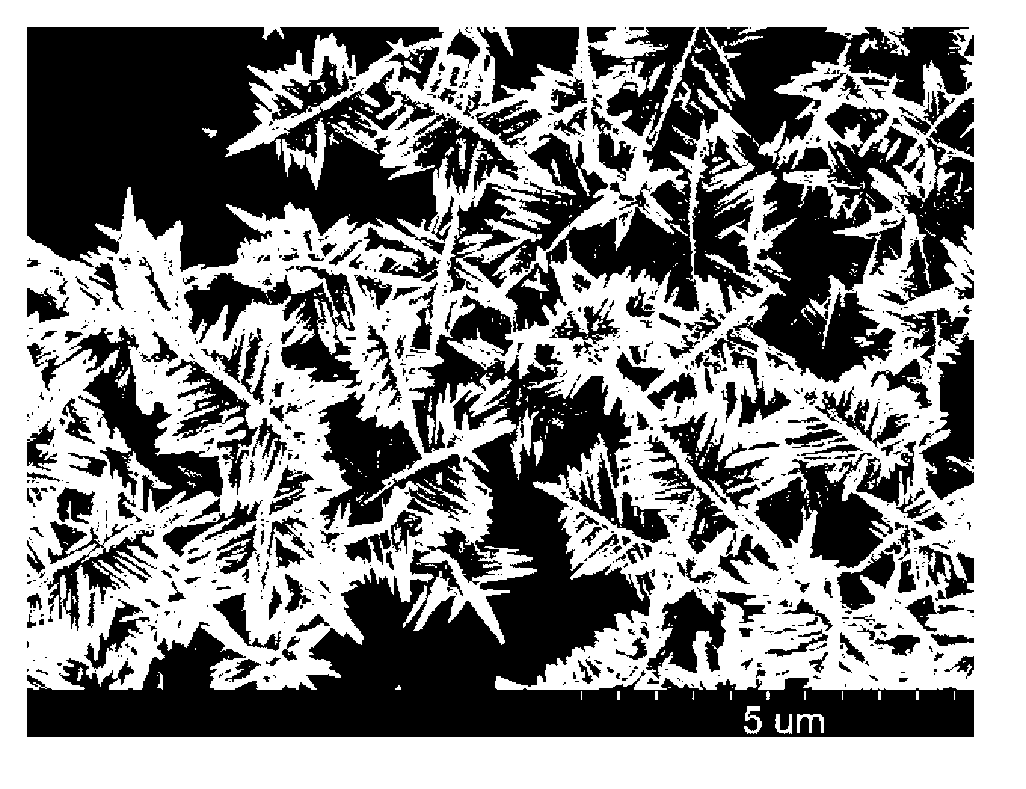 Preparation method of indium oxide nanorod ordered aggregate