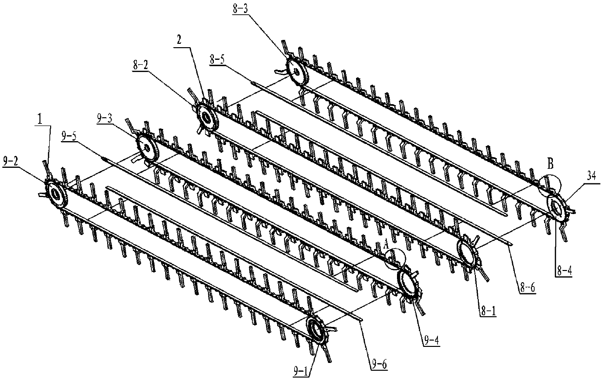 Carton continuous conveying and adjusting device adapted to various width specifications