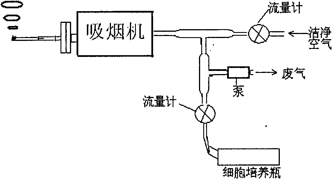 Cigarette mainstream smoke genotoxicity measurement method