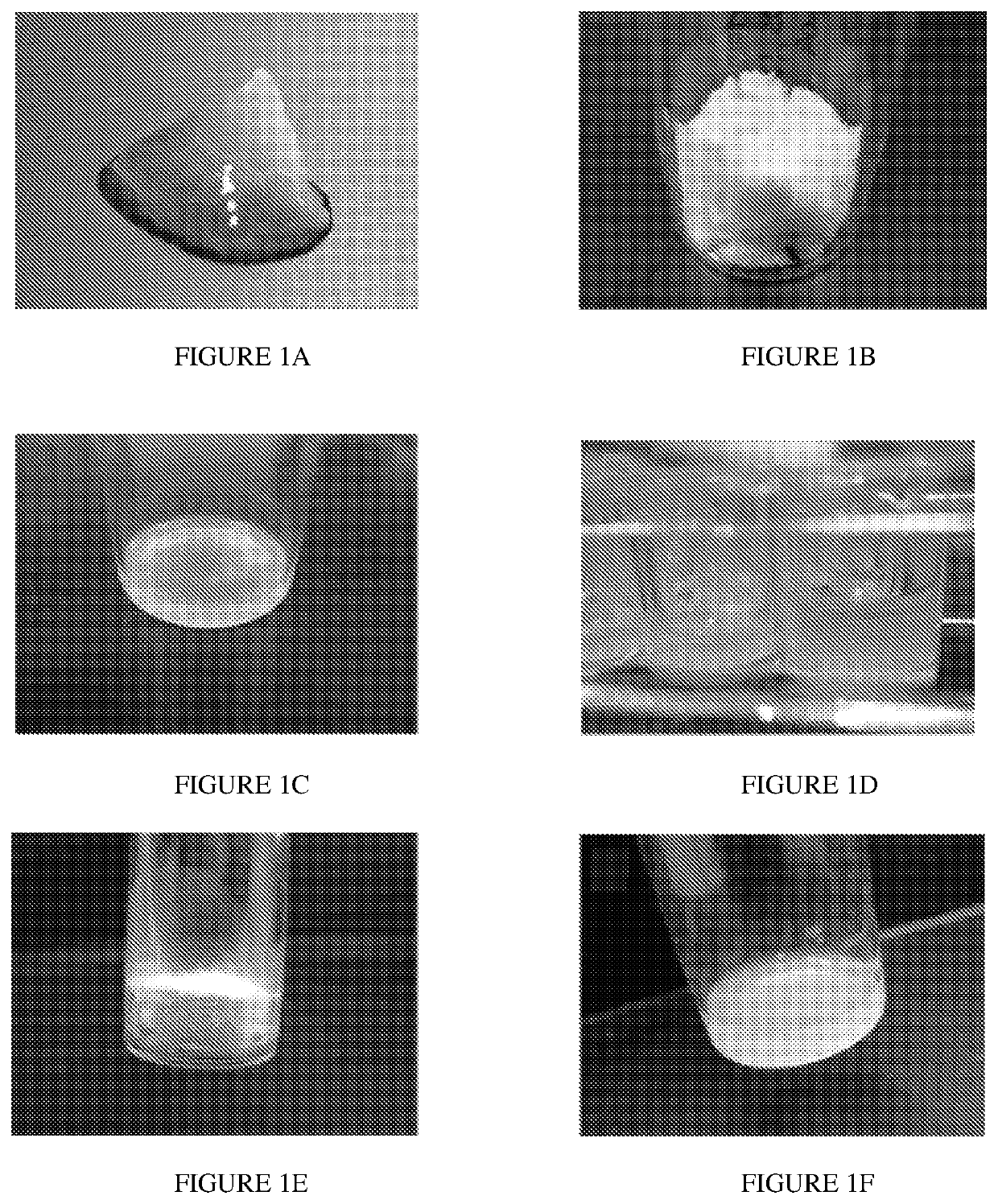 Extracellular Matrix for Treating Pelvic Floor Disorders and Skeletal Muscle Degeneration