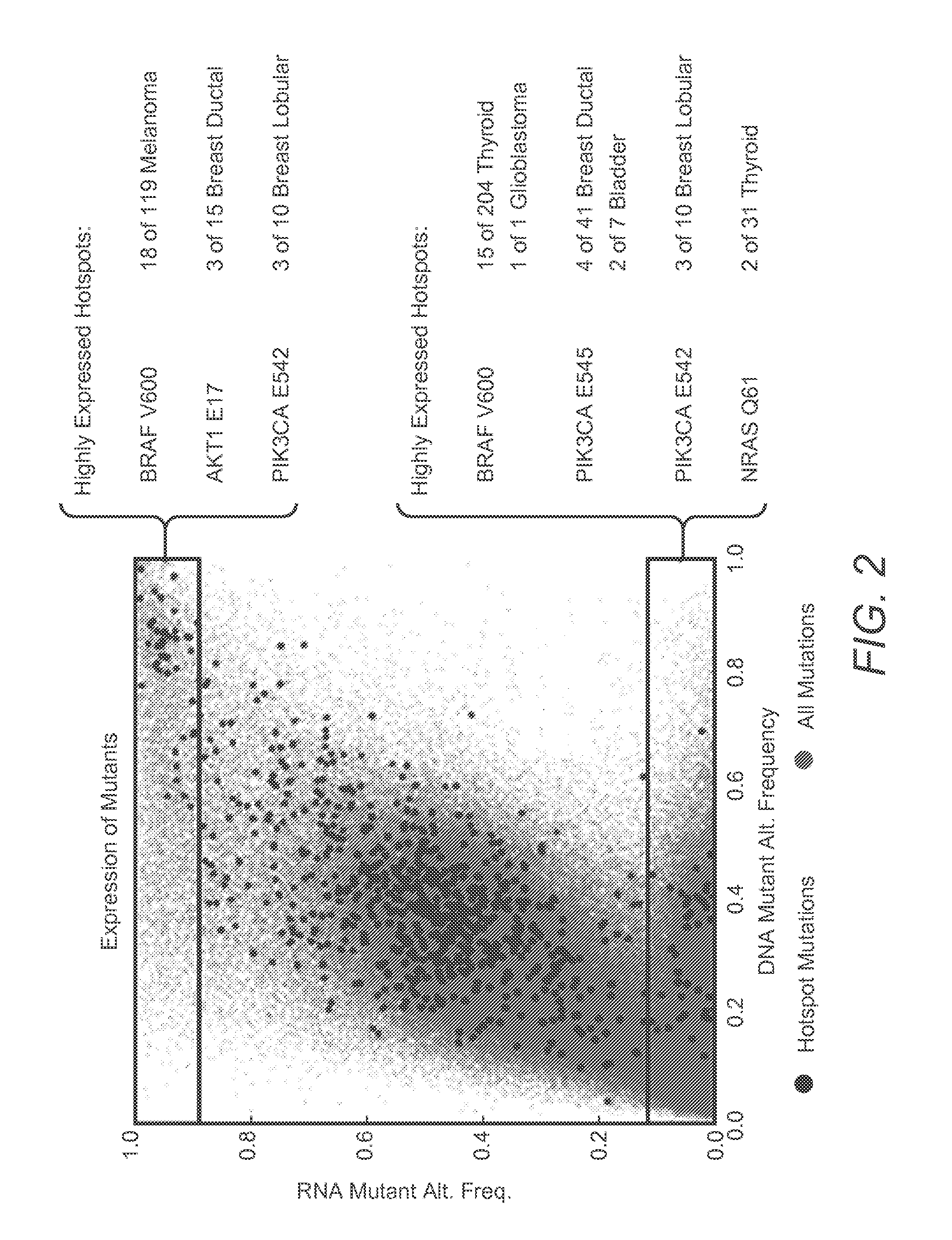 Systems And Methods For Comprehensive Analysis Of Molecular Profiles Across Multiple Tumor And Germline Exomes