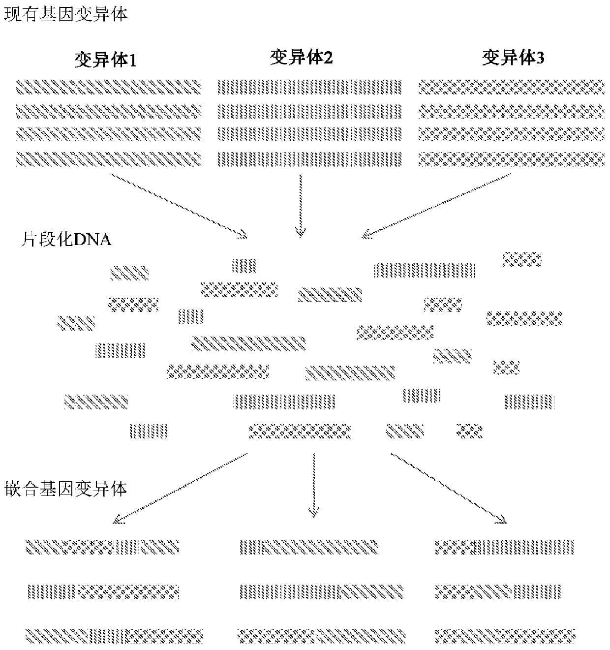 Htp genomic engineering platform for improving fungal strains