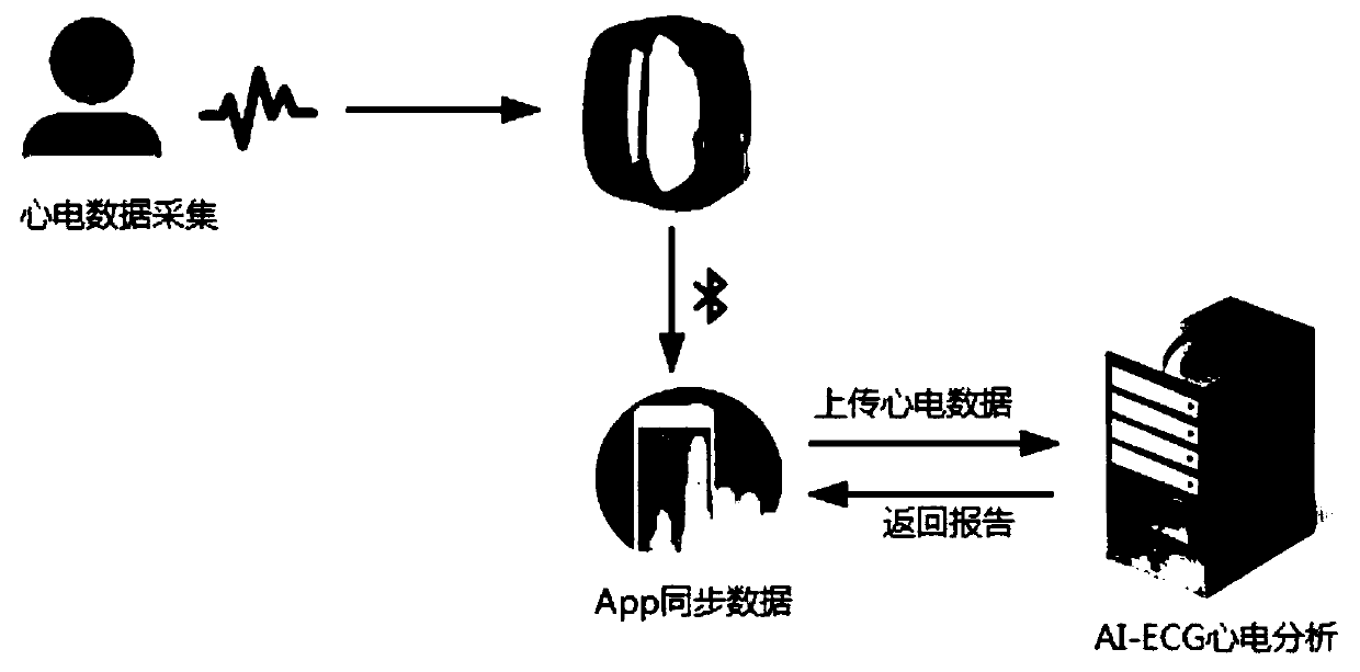 Wearable electrocardiac information monitoring system and method