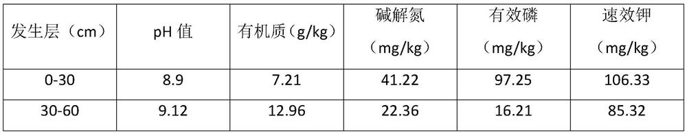 Microbial agent with disease and pest control function and preparation method thereof