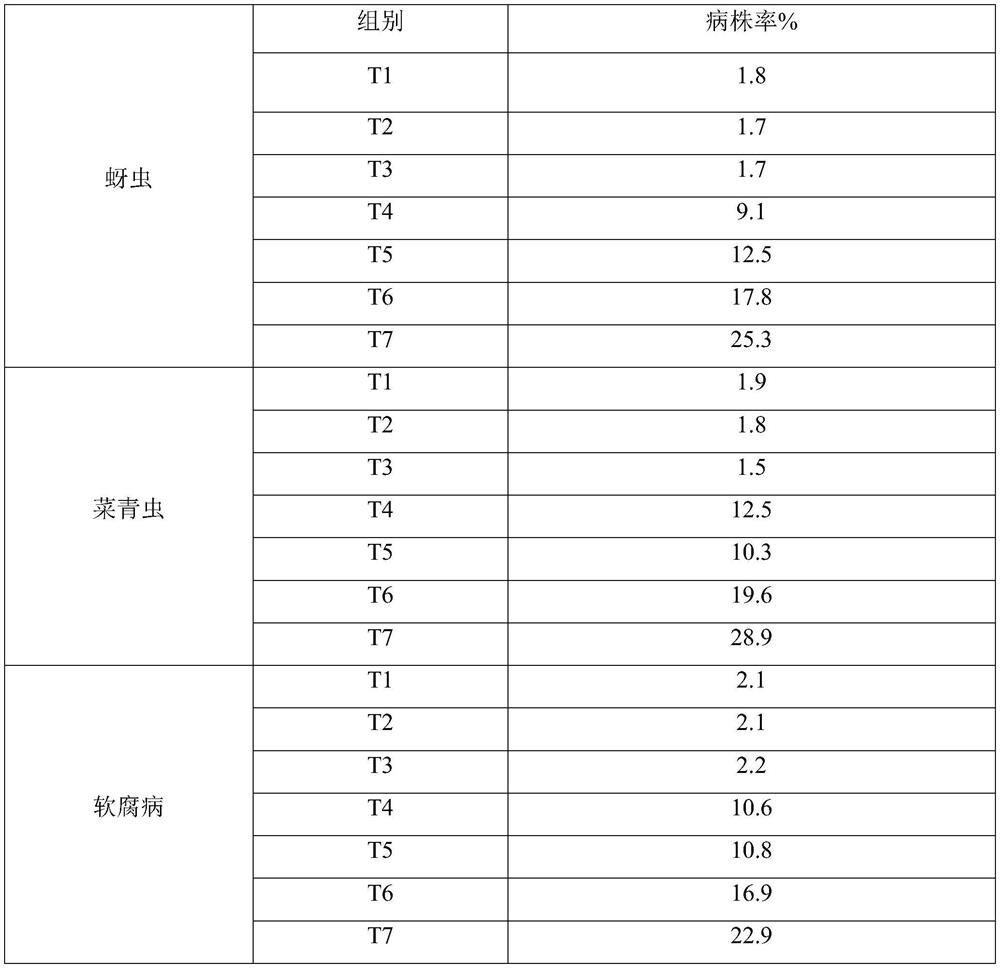 Microbial agent with disease and pest control function and preparation method thereof