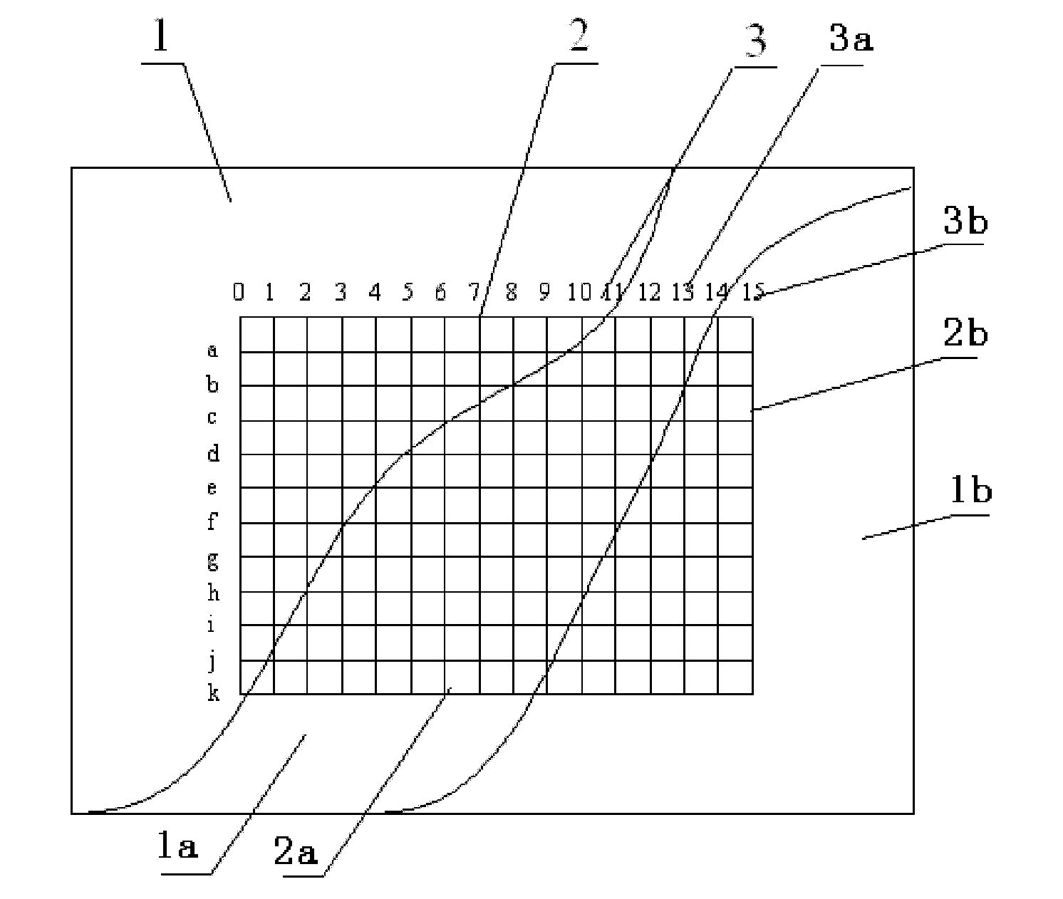 Clinical medicinal patch with developing coordinates