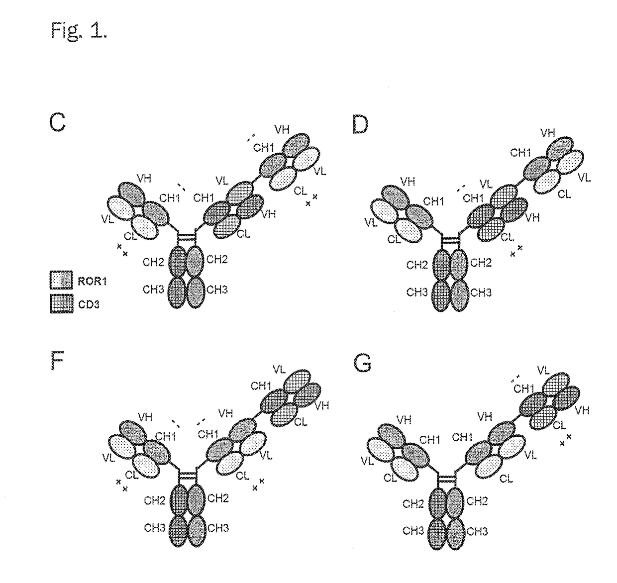 Bispecific antibodies against cd3epsilon and ror1