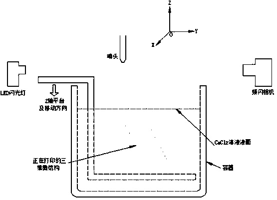 3D (Three-dimensional) printing method based on micro-droplet inkjet gelation vascular stent