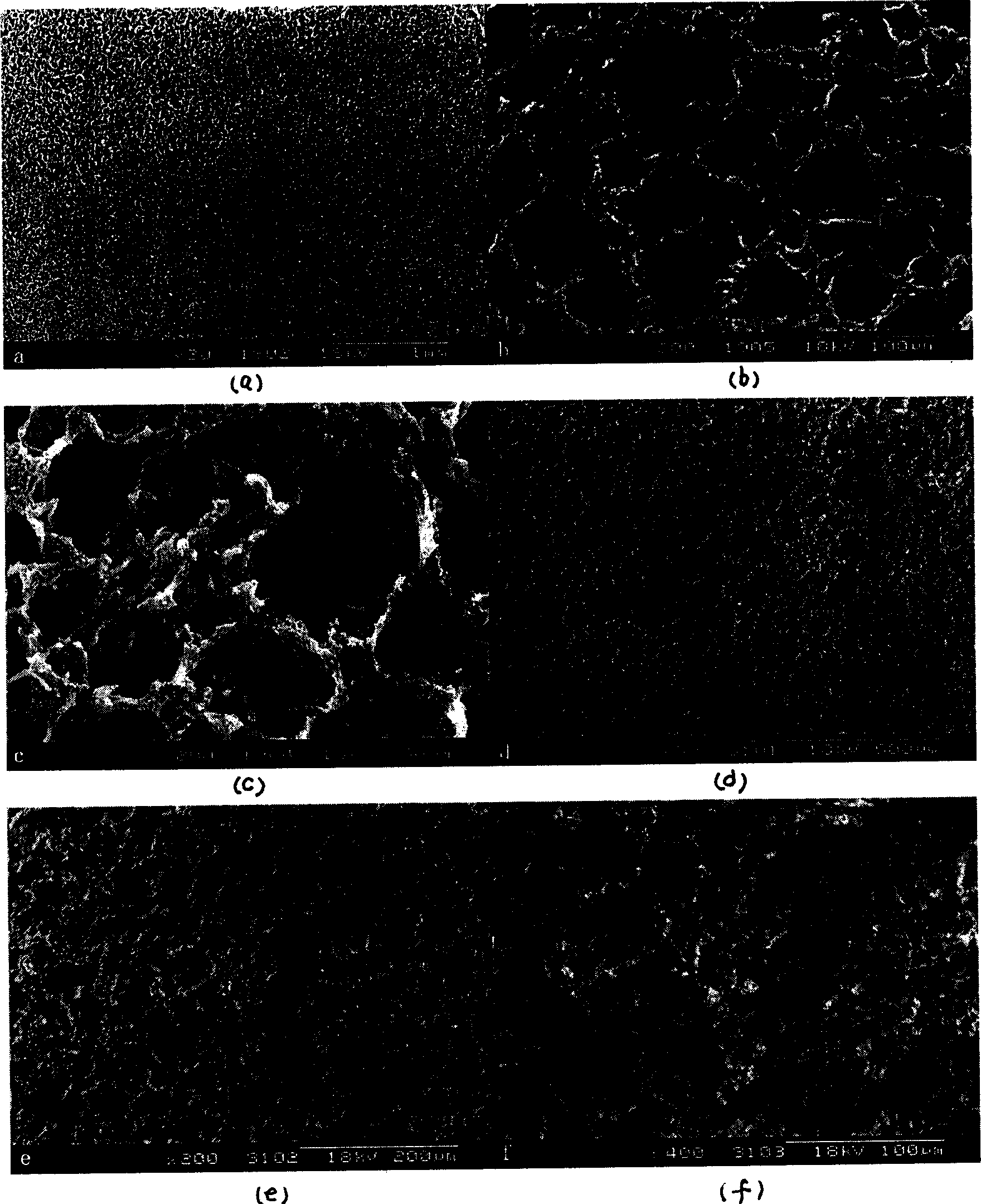 Method for preparing organic and inorganic nanometer composite organization engineering stent material by using thermal phase separation