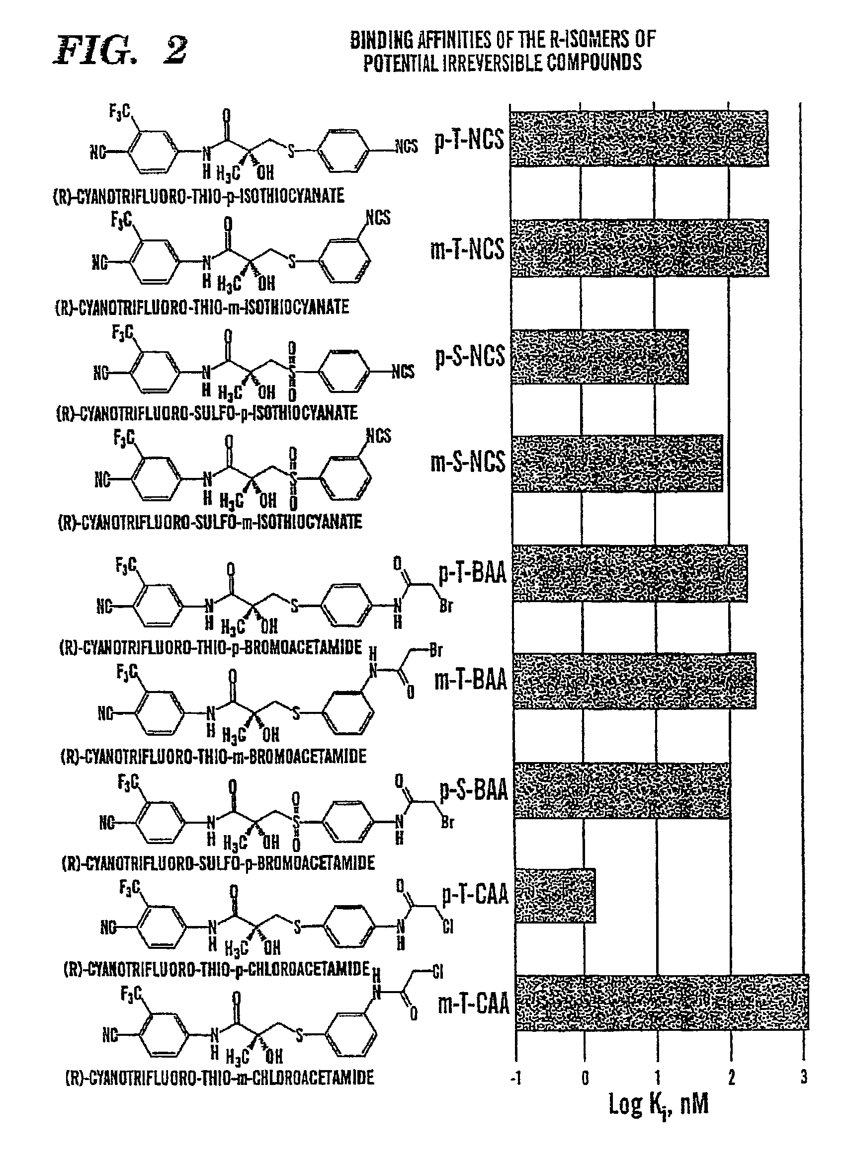 Irreversible non-steroidal antagonist compound and its use in the treatment of prostate cancer