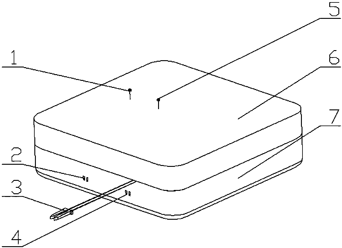 Intelligent light compensation irrigation apparatus