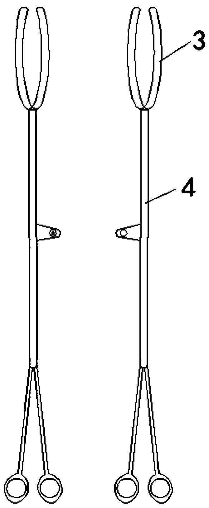 Cavity anastomosis device