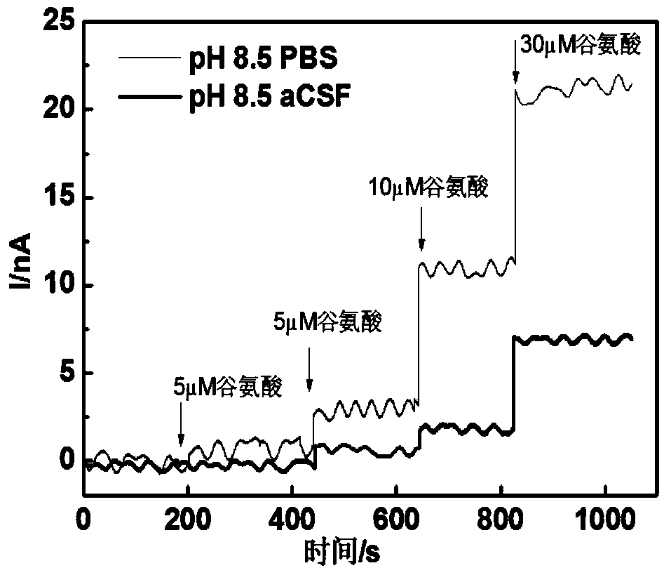 A kind of dehydrogenase electrode and its application