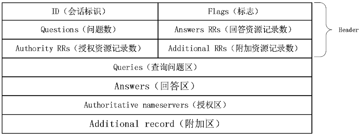 DNS domain name obtaining system and method