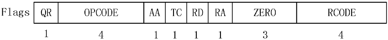 DNS domain name obtaining system and method