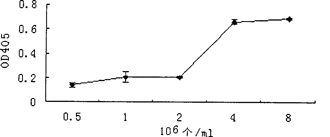 Anti-tumor metastasis medicament high flux screening model