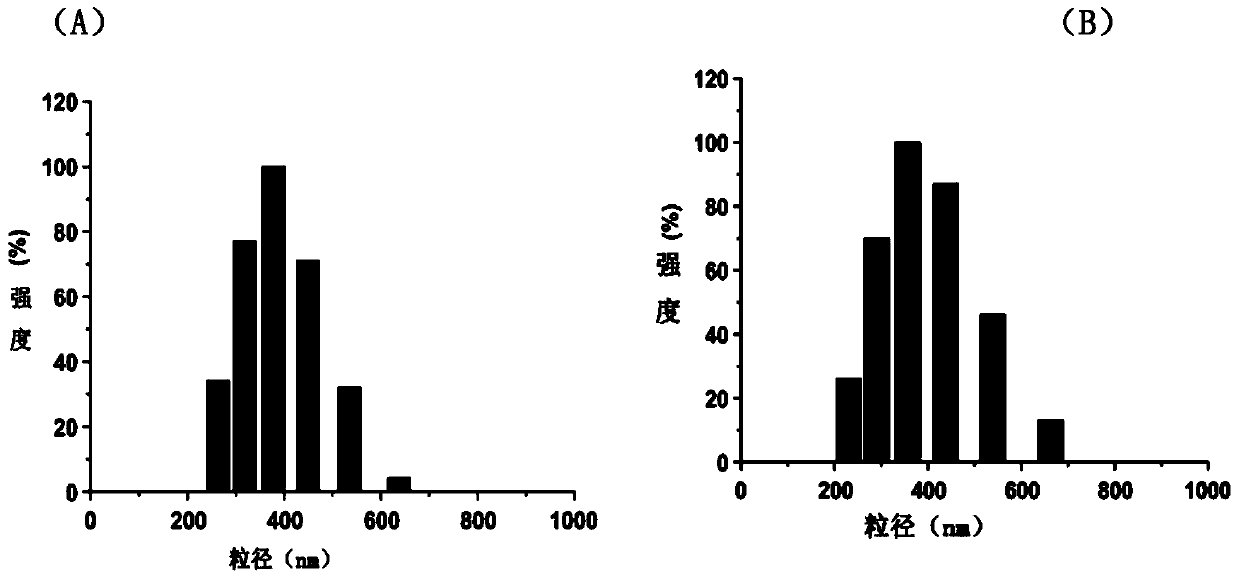 Targeted nano-microbubbles for detection of small cell lung cancer, preparation method and application thereof