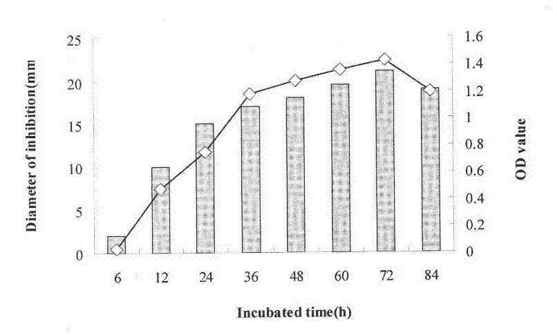 Method for producing biological pesticide by using endophytic bacillus subtilis