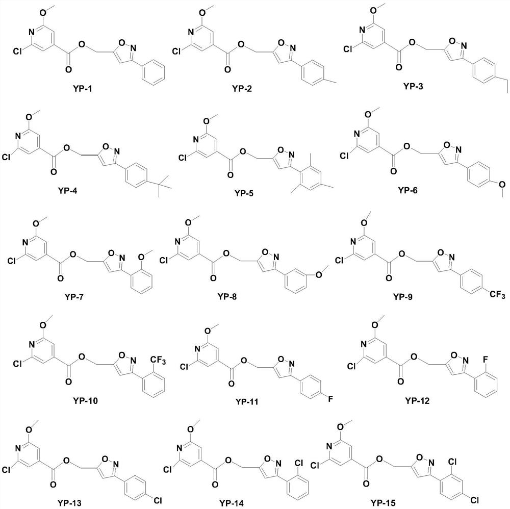 Isonicotinic acid derivative and its preparation method and use