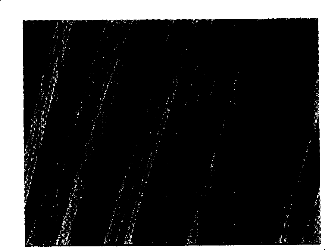 Electric device and method for spinning generation and collection