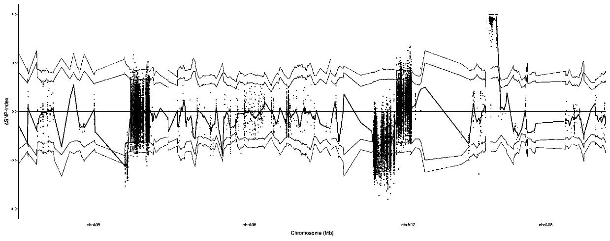 Brassica napus wax powder gene positioning method based on whole genome resequencing