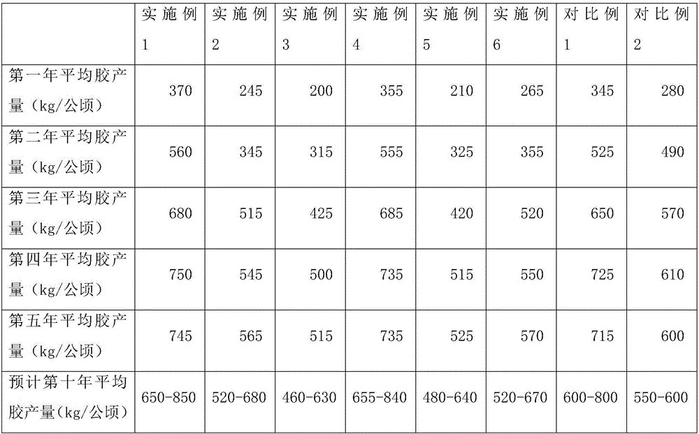 Cultivation method for improving yield and quality of eucommia rubber