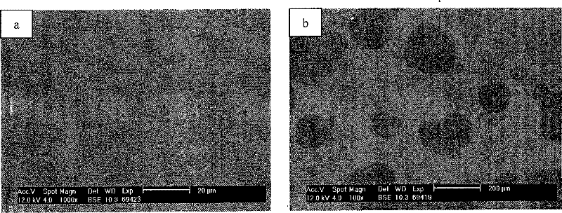 Plastic bulk metallic glass in situ composite material and method for preparing same