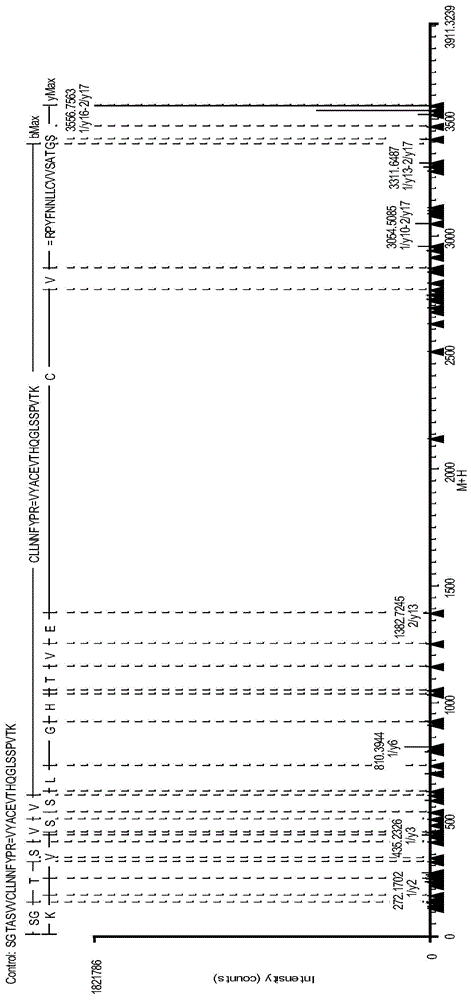 IgG2 type monoclonal antibody disulfide bond pairing analysis method