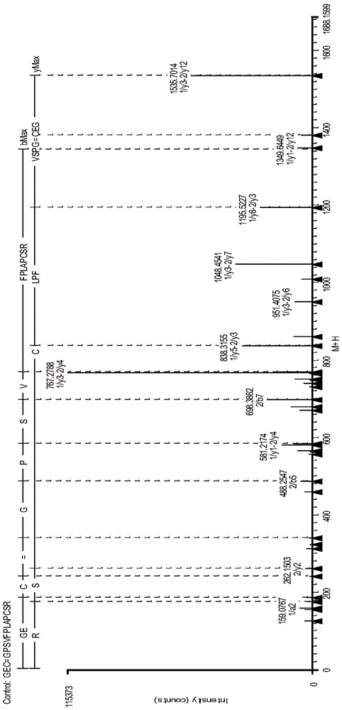 IgG2 type monoclonal antibody disulfide bond pairing analysis method