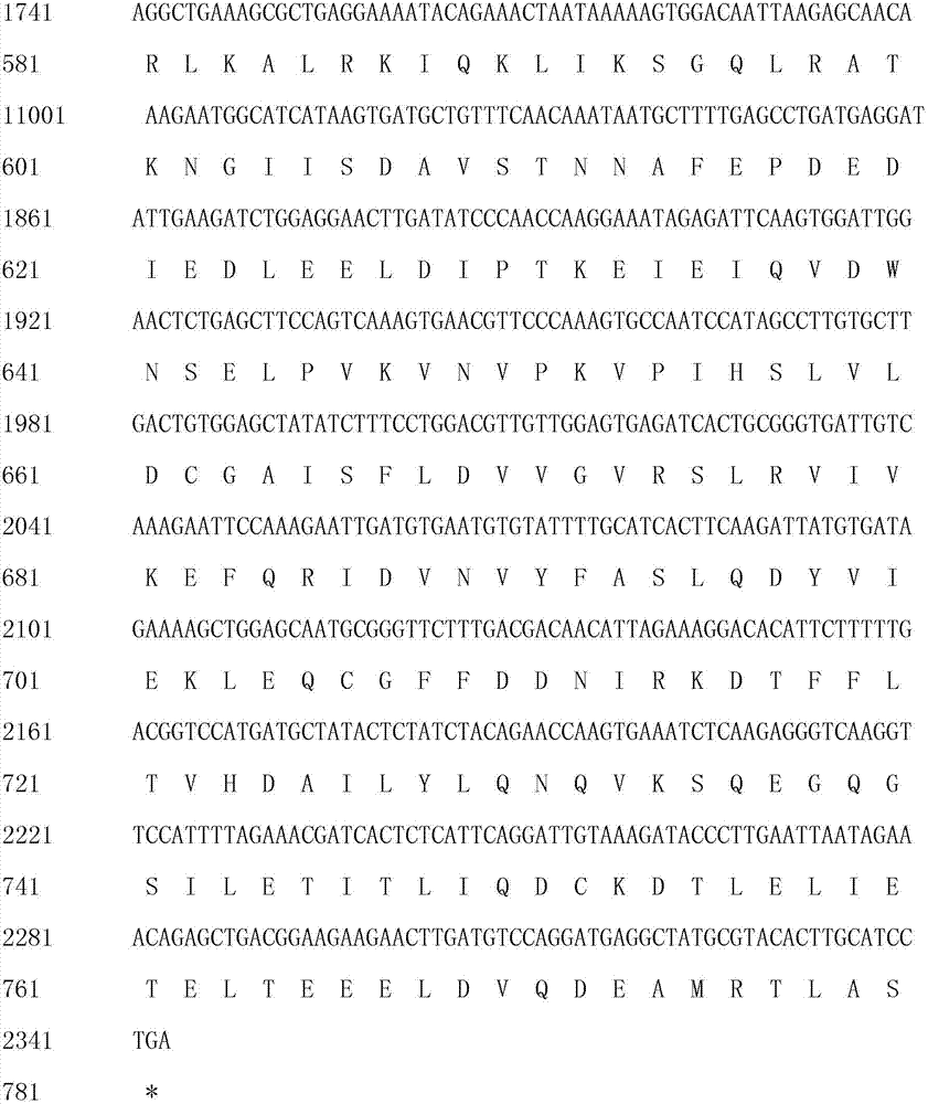 Kit for detecting SLC26A4 gene c.665G&gt;T mutation