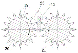 Toothed roll type cleaning method and device for shells and seeds of camellia oleifera